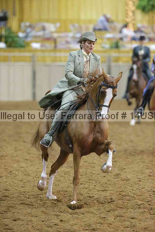 Proof 14usn_09026