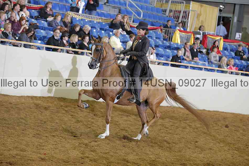 Proof 14usn_09027
