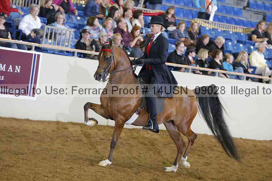 Proof 14usn_09028