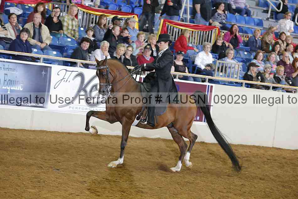Proof 14usn_09029