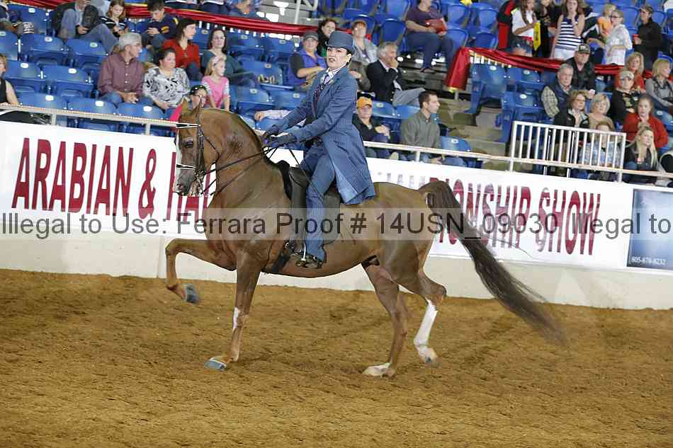 Proof 14usn_09030