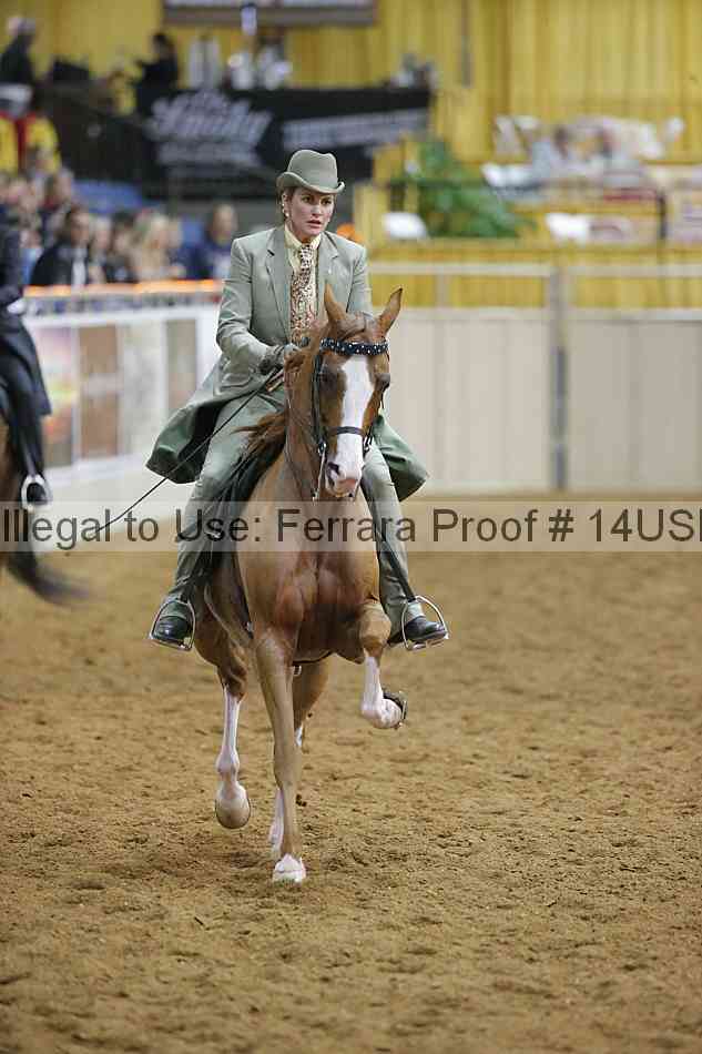 Proof 14usn_09031