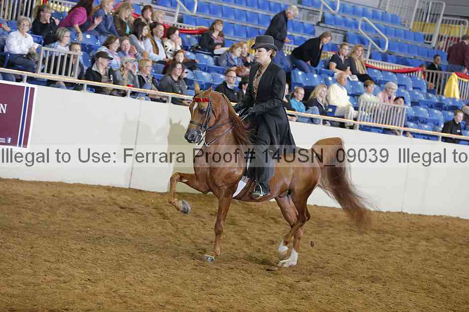 Proof 14usn_09039