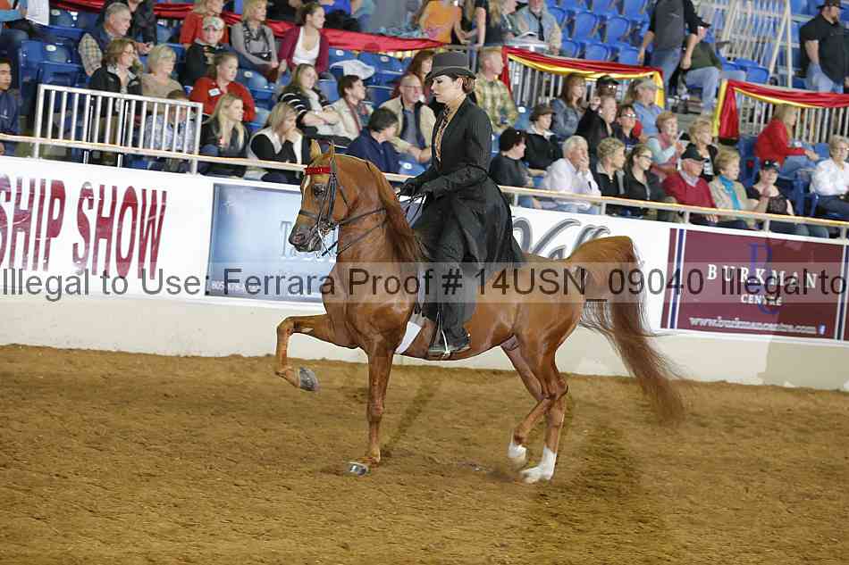 Proof 14usn_09040
