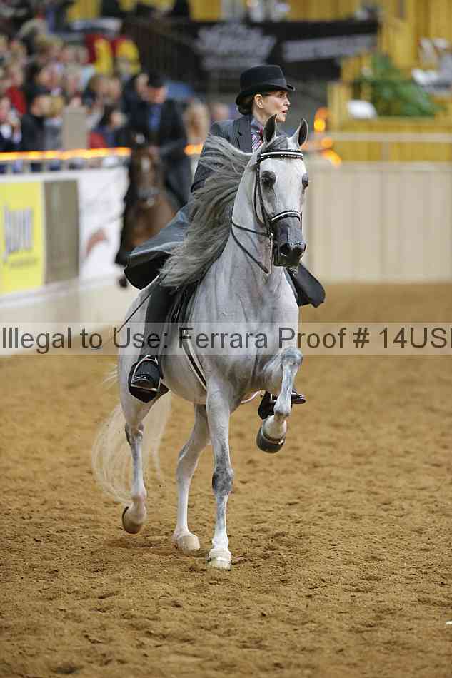 Proof 14usn_09041