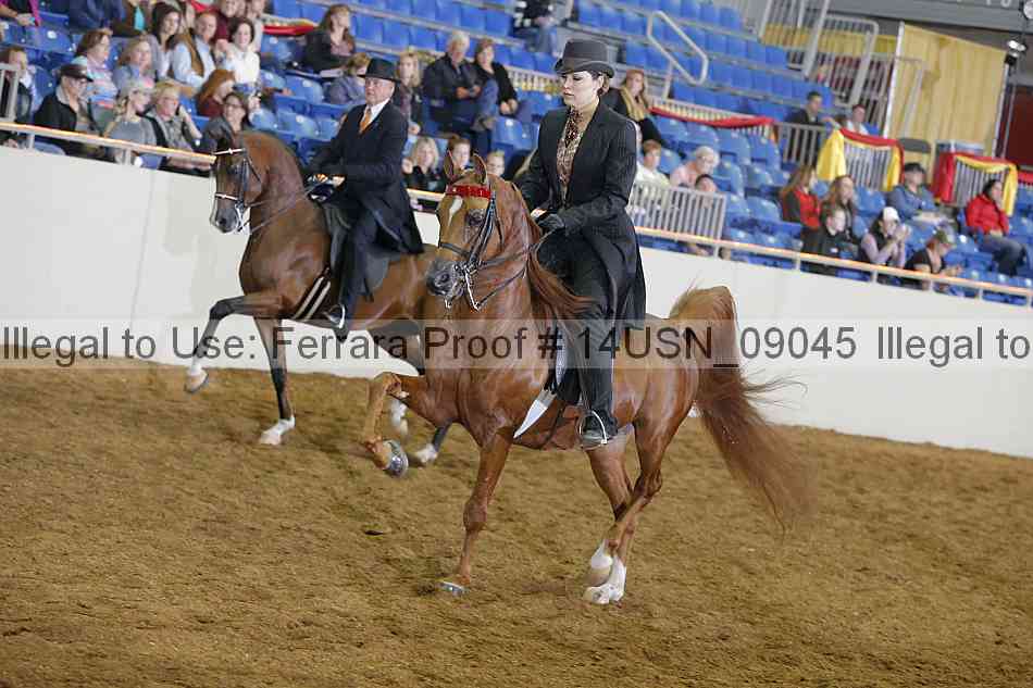 Proof 14usn_09045