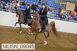 14usn_09045 proof