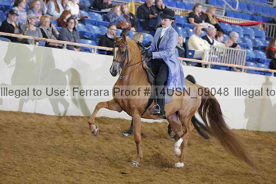 Proof 14usn_09048