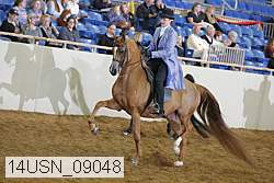 14usn_09048 proof