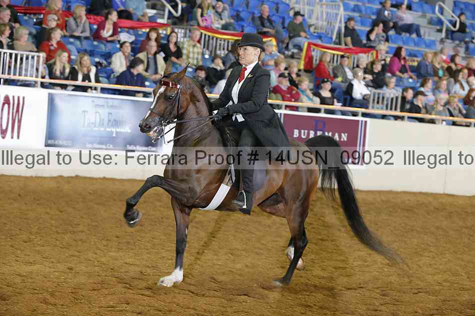 Proof 14usn_09052