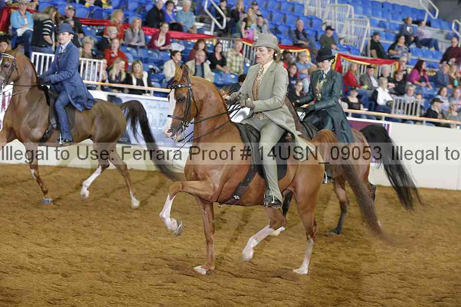Proof 14usn_09053