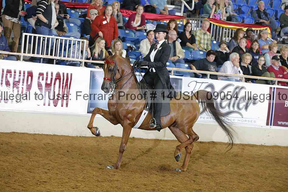 Proof 14usn_09054