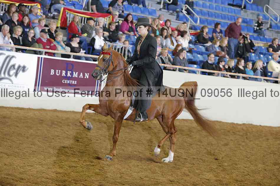 Proof 14usn_09056