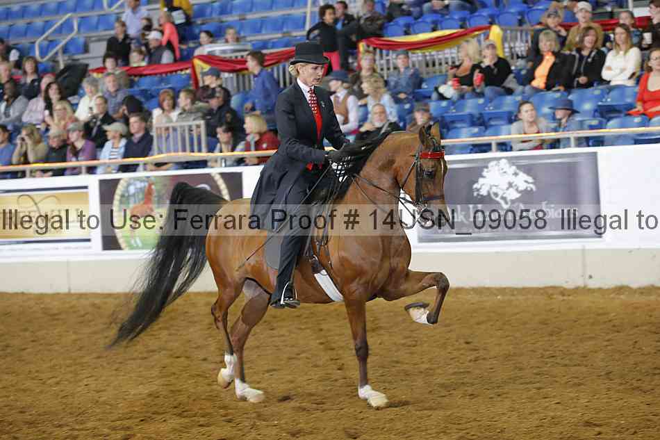 Proof 14usn_09058