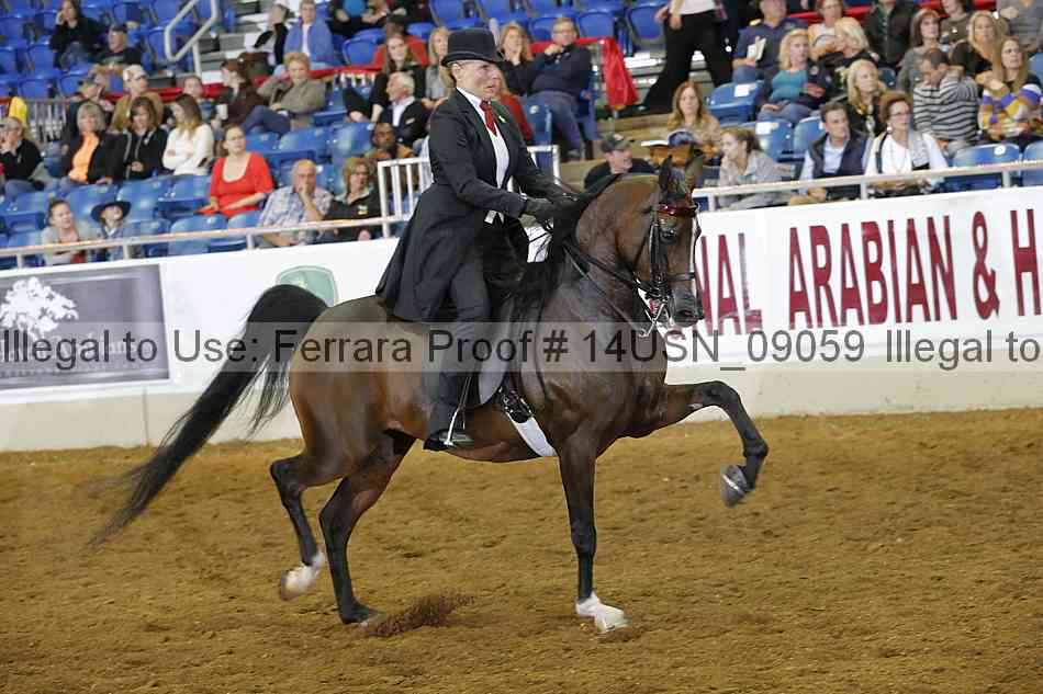 Proof 14usn_09059
