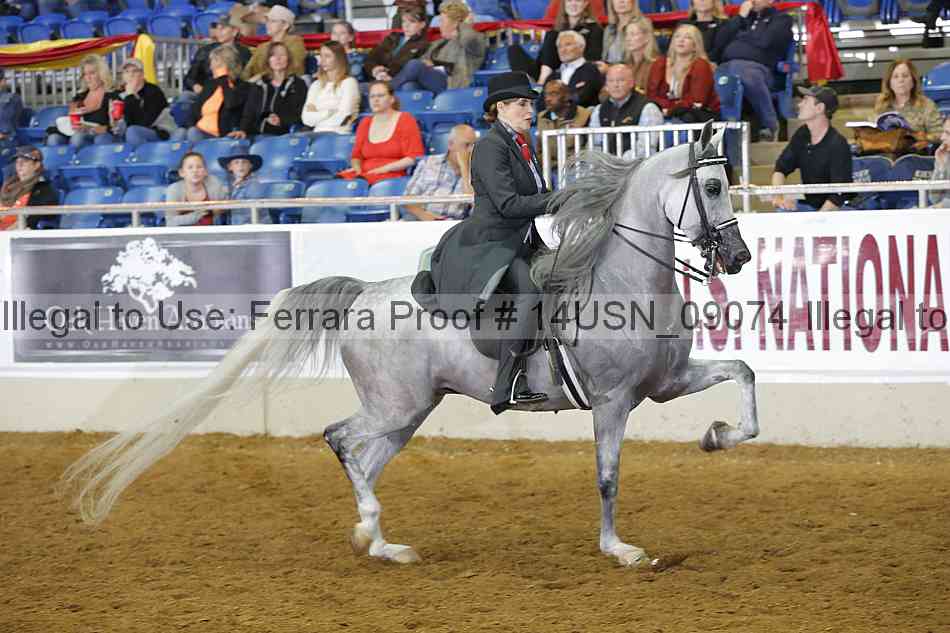 Proof 14usn_09074