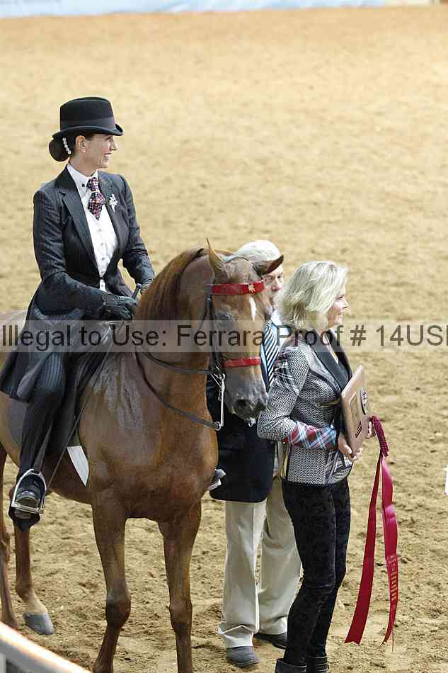 Proof 14usn_09085