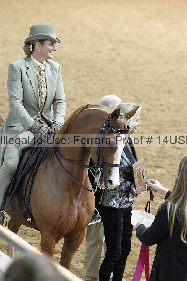 Proof 14usn_09089