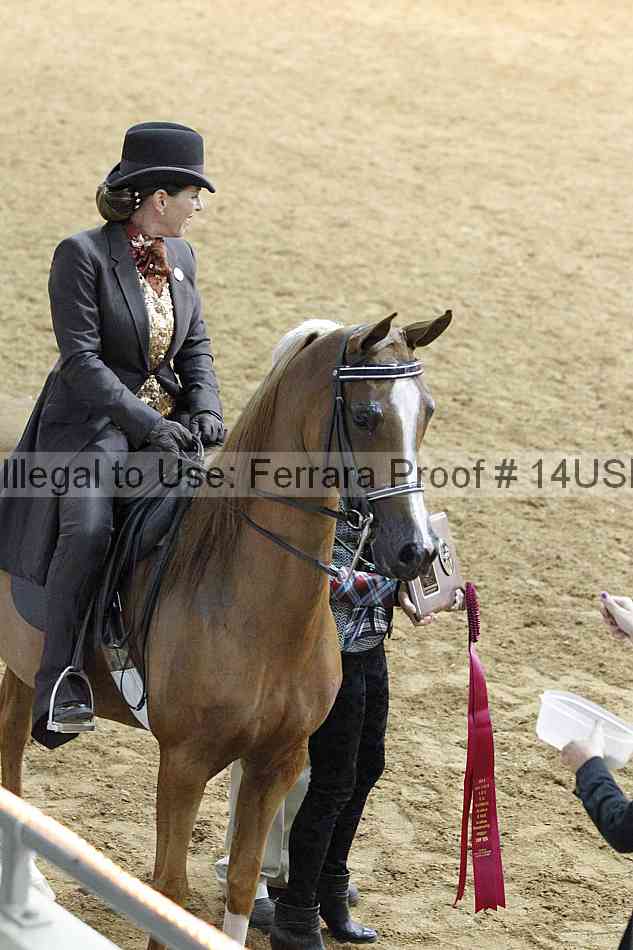 Proof 14usn_09099