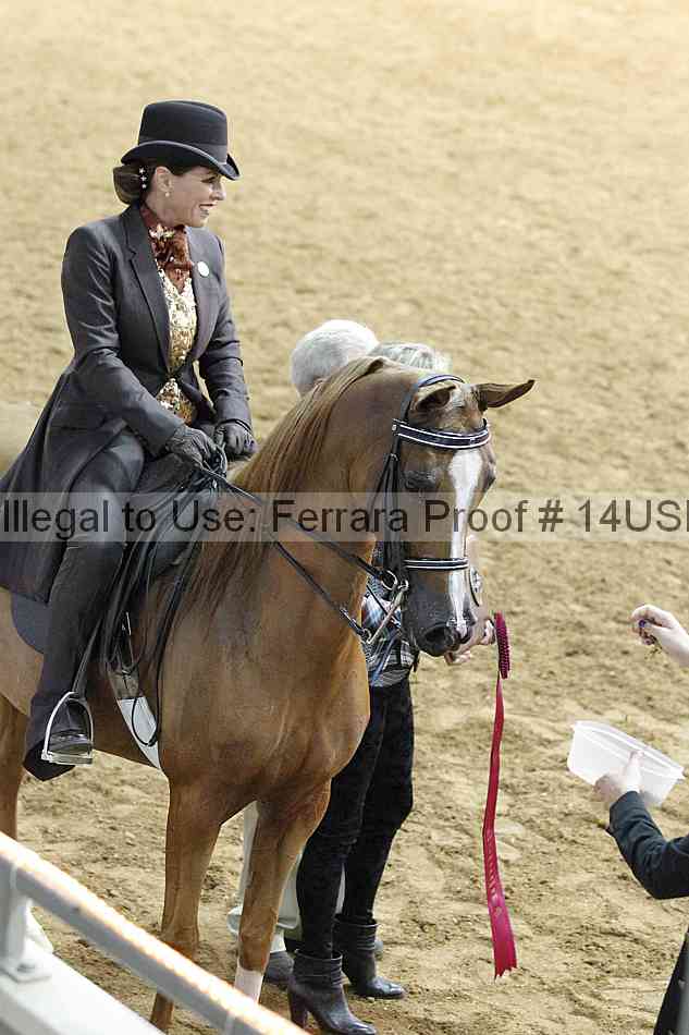 Proof 14usn_09100