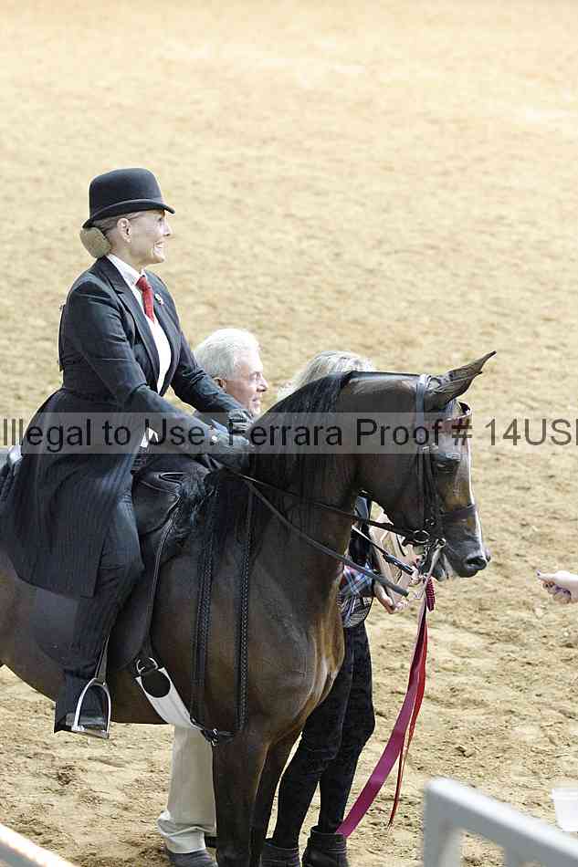 Proof 14usn_09102