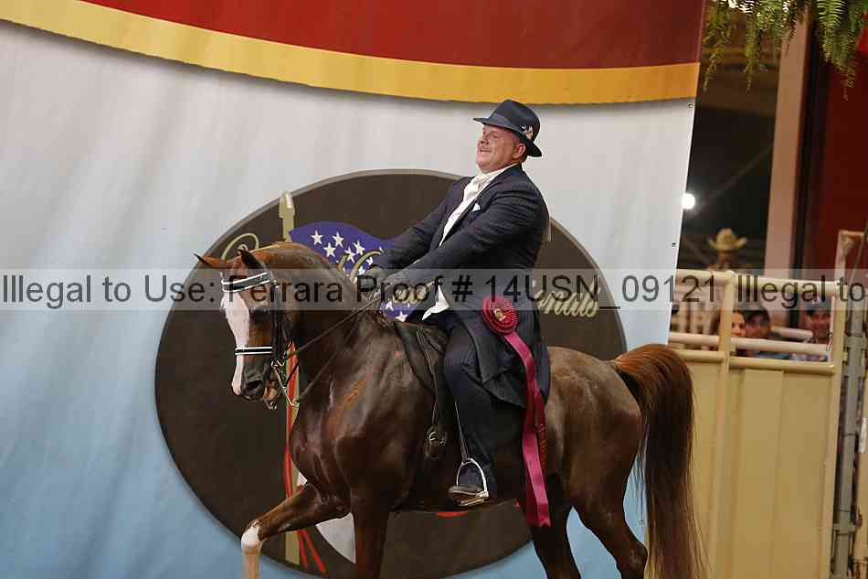 Proof 14usn_09121