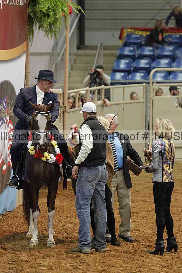 Proof 14usn_09133