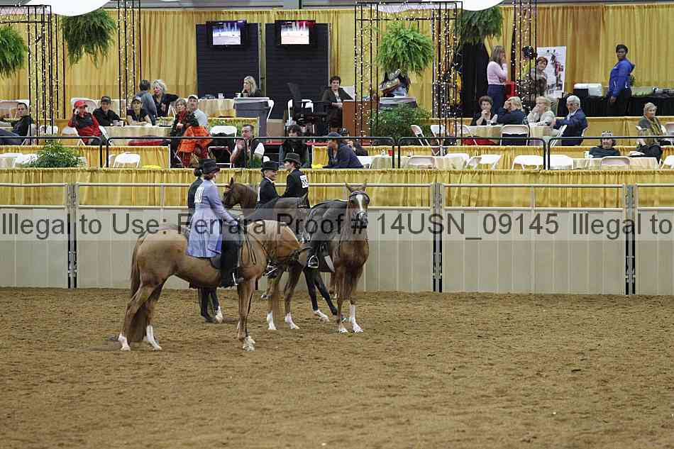 Proof 14usn_09145