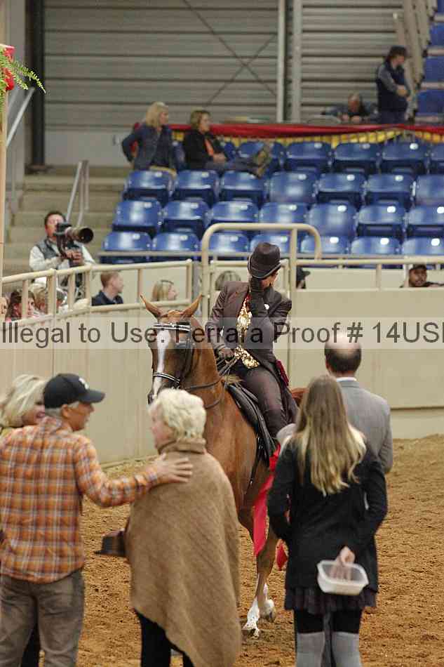 Proof 14usn_09153