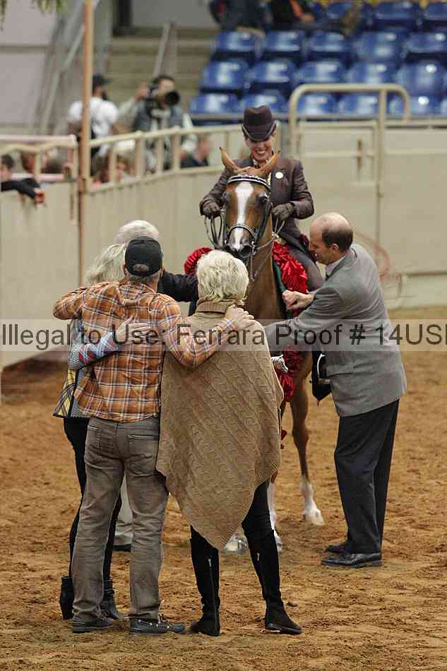 Proof 14usn_09162