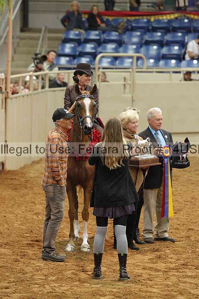 Proof 14usn_09171