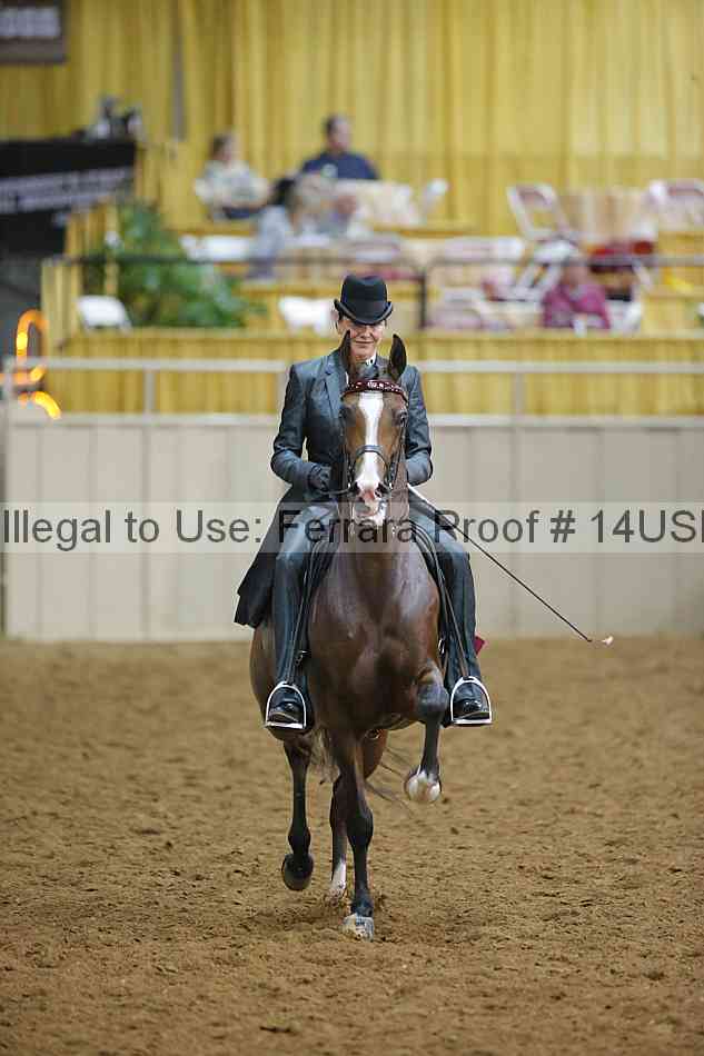 Proof 14usn_09176