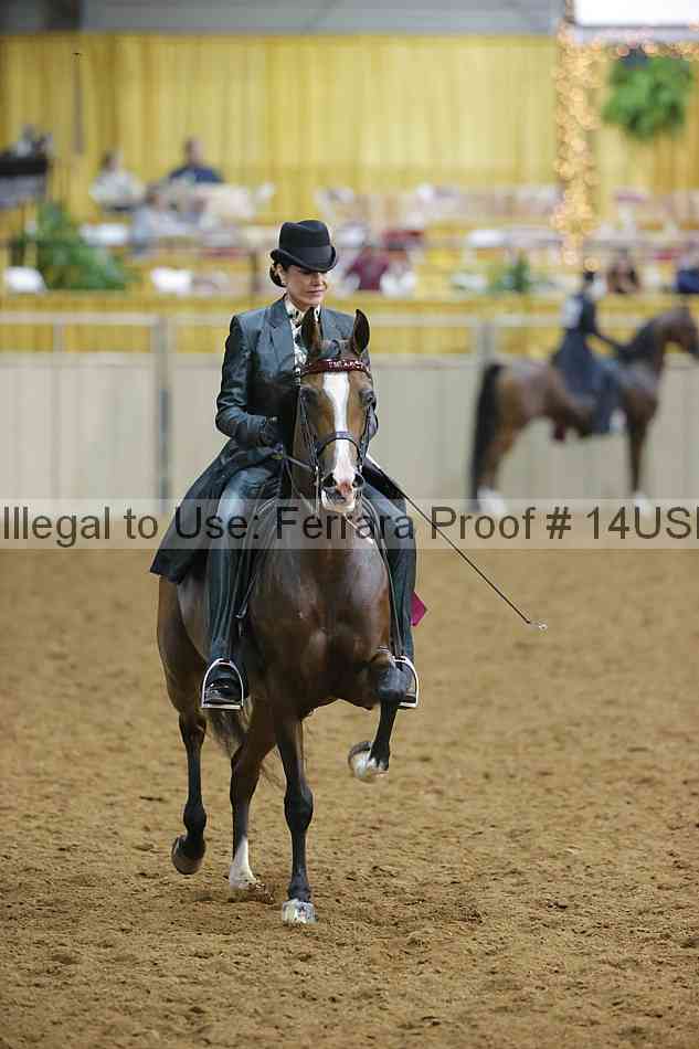 Proof 14usn_09177