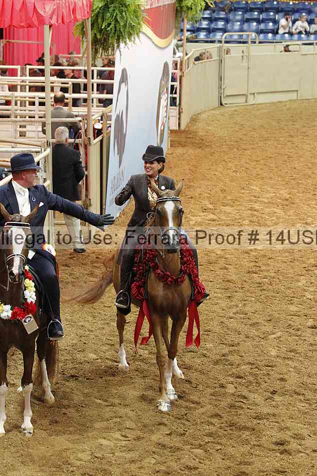 Proof 14usn_09182