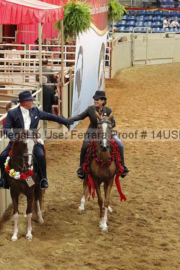 Proof 14usn_09183