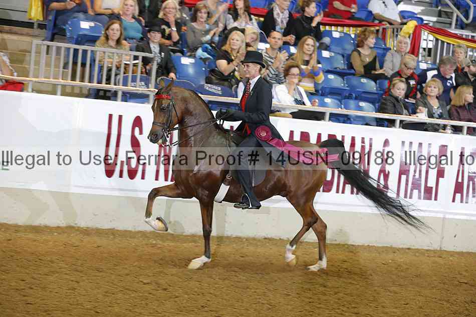 Proof 14usn_09188