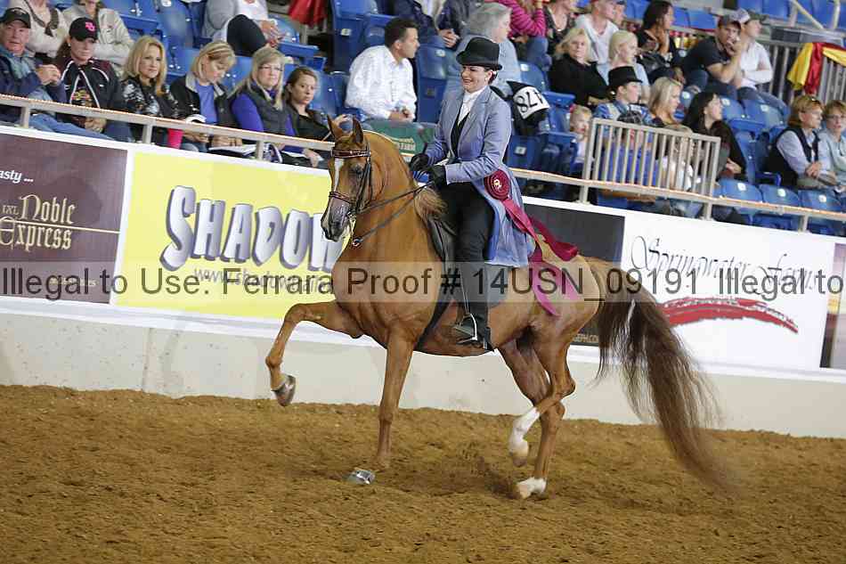 Proof 14usn_09191