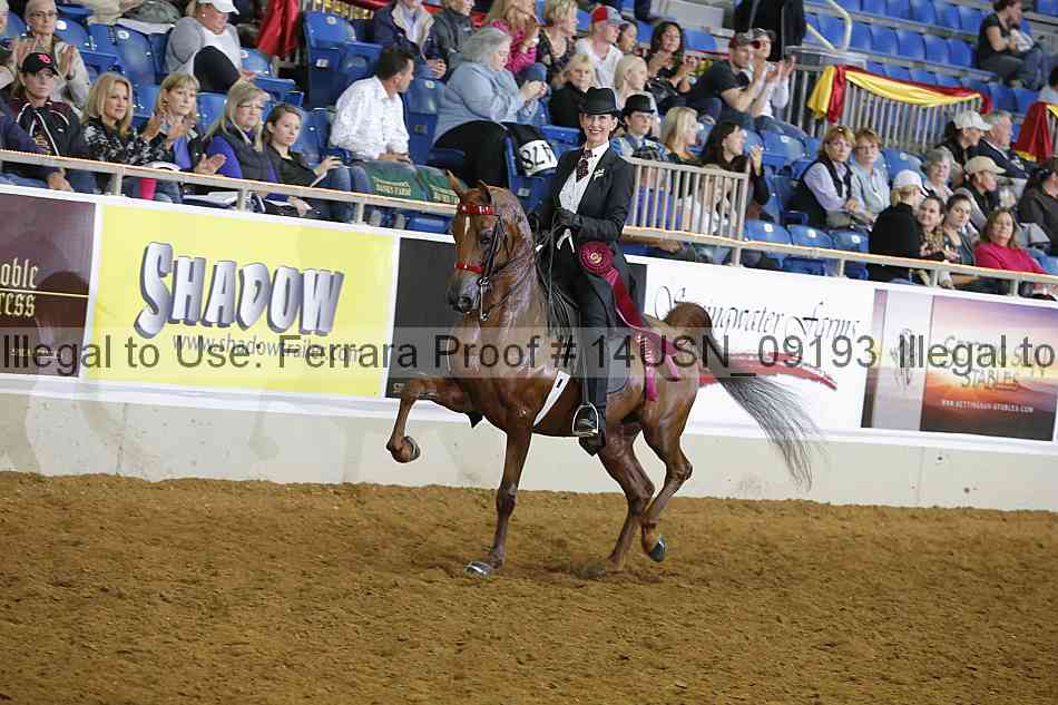 Proof 14usn_09193