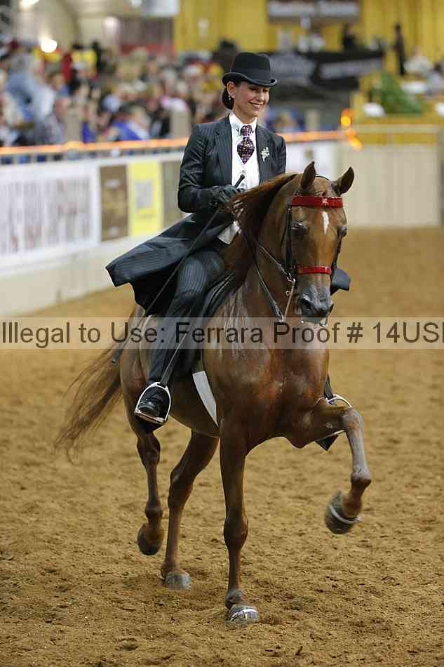 Proof 14usn_09195