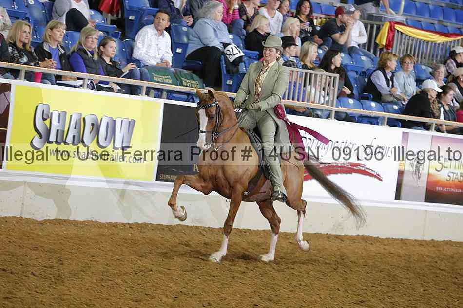 Proof 14usn_09196