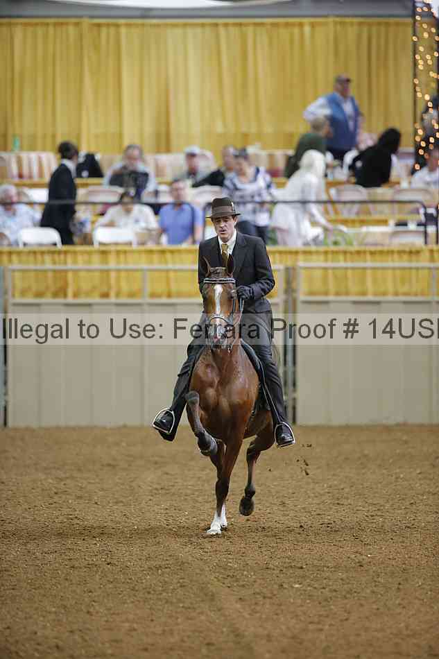 Proof 14usn_30511