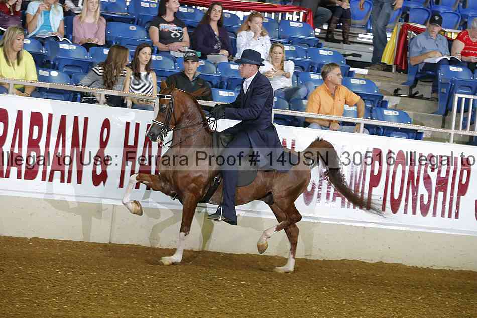 Proof 14usn_30516