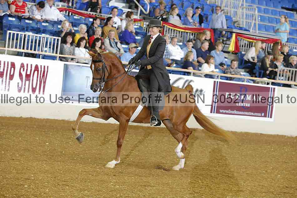 Proof 14usn_30527