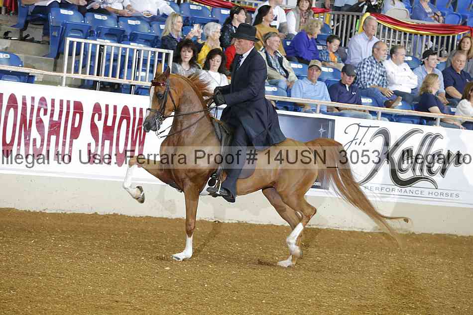 Proof 14usn_30531