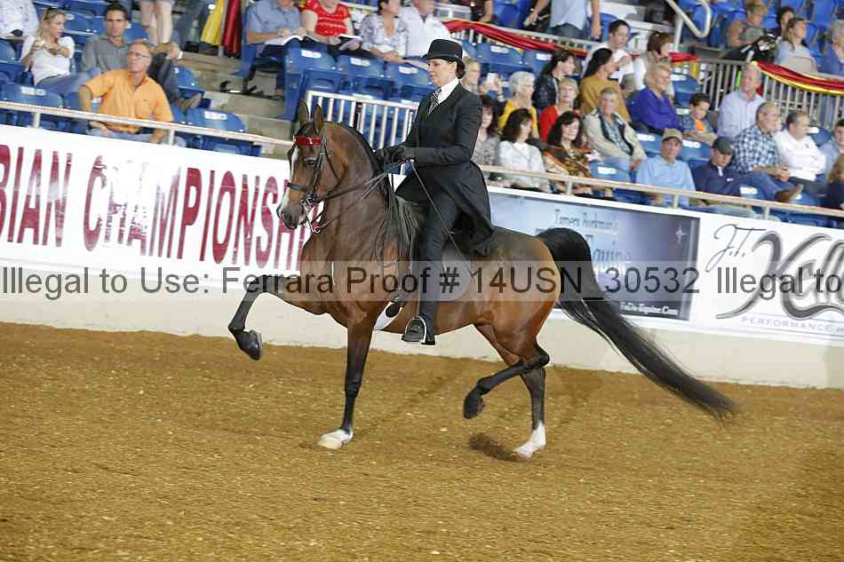 Proof 14usn_30532