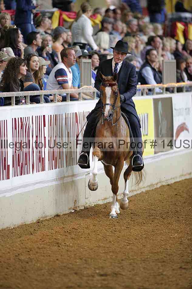 Proof 14usn_30536