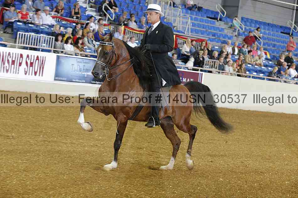 Proof 14usn_30537