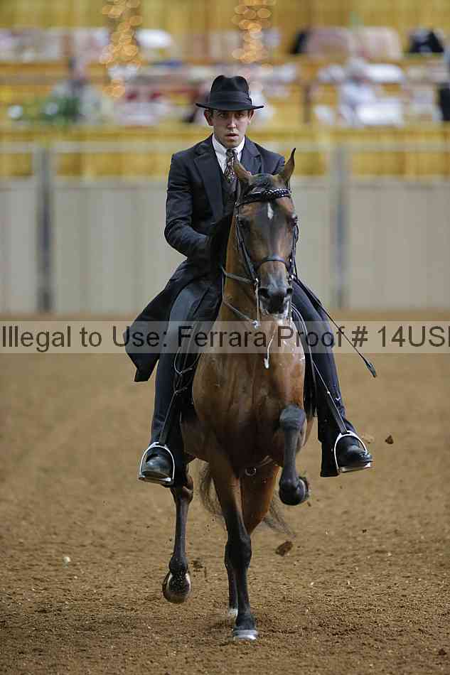 Proof 14usn_30539