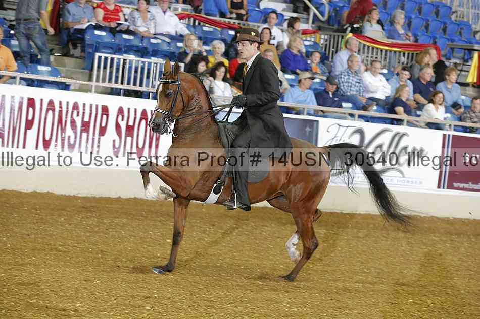 Proof 14usn_30540