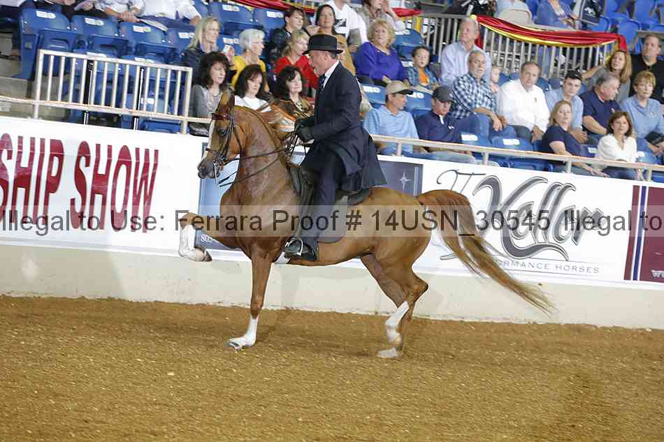 Proof 14usn_30545